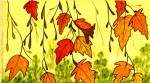F07-Leaves-Fall002-web